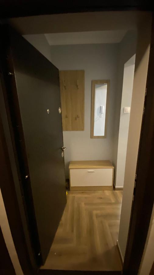 Dacia Apartment Temesvár Kültér fotó