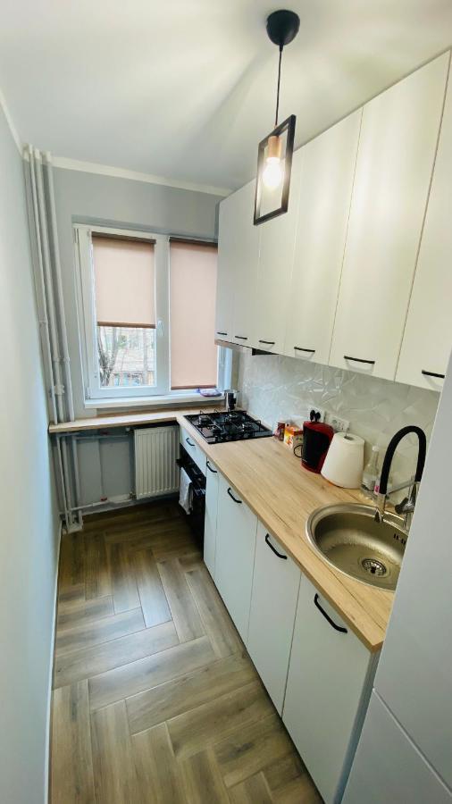 Dacia Apartment Temesvár Kültér fotó